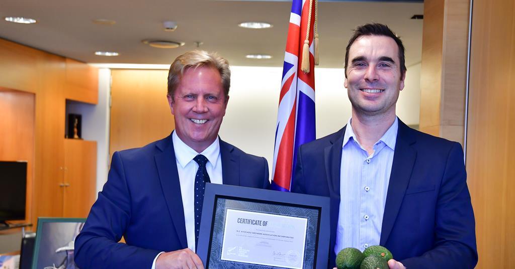New Zealand avocado industry unites under FernMark | News