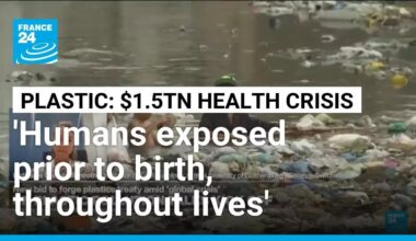 Plastic pollution inextricably linked with numerous 'public health crises' • FRANCE 24 English