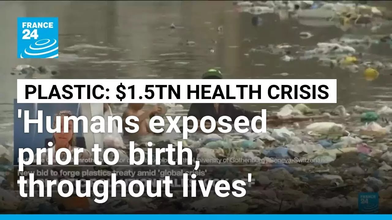 Plastic pollution inextricably linked with numerous 'public health crises' • FRANCE 24 English