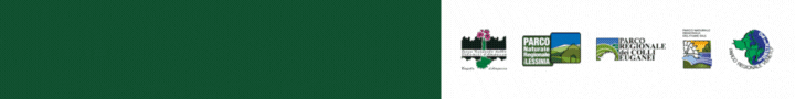 1754486098194.gif