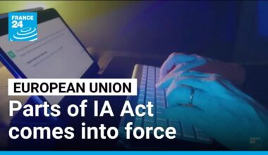 EU's landmark AI act enters new phase • FRANCE 24 English