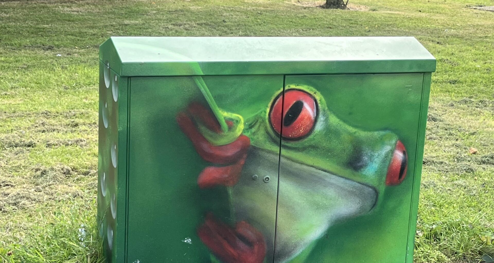 Who paints these? And can they do as many as possible they’re great