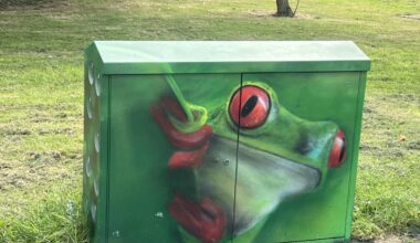 Who paints these? And can they do as many as possible they’re great