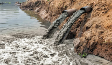 New depths: England’s swimming waters five times worse than EU’s