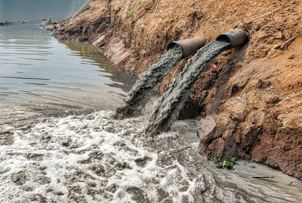 New depths: England’s swimming waters five times worse than EU’s