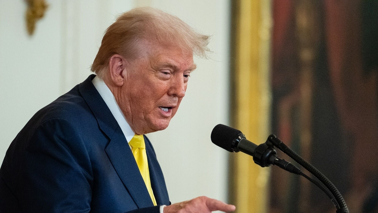 Average US tariffs top 20%, back to 1910s levels: WTO and IMF | Latest News India