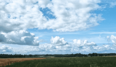 kamēr negāza lietus izdomāju pastaigāties, diezgan mierīgi