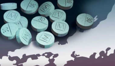 China fentanyl ring had Japan base, investigator Bellingcat confirms