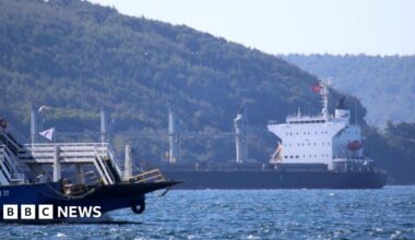 Ships pass through the Dardanelles Strait near the Turkish city of Canakkale. Photo: August 2022