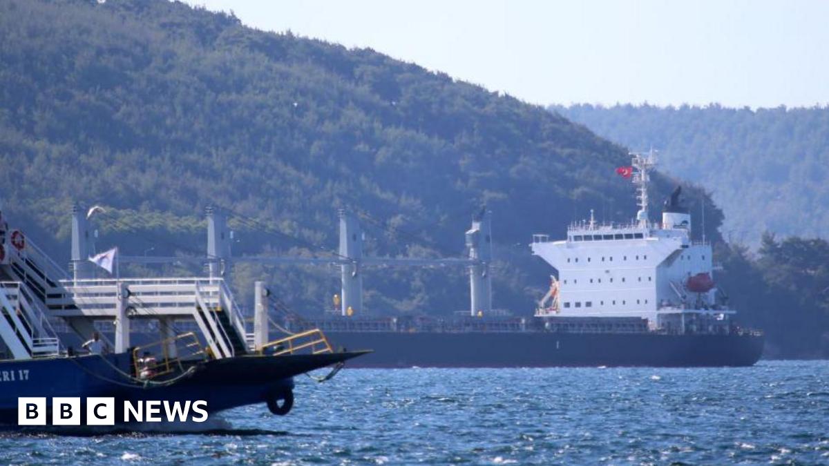 Ships pass through the Dardanelles Strait near the Turkish city of Canakkale. Photo: August 2022