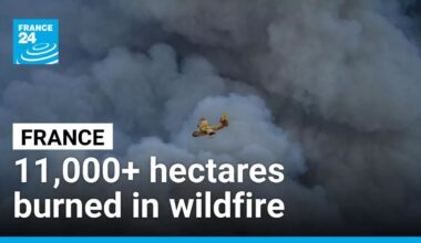 Over 11,000 hectares engulfed in southern France wildfire • FRANCE 24 English