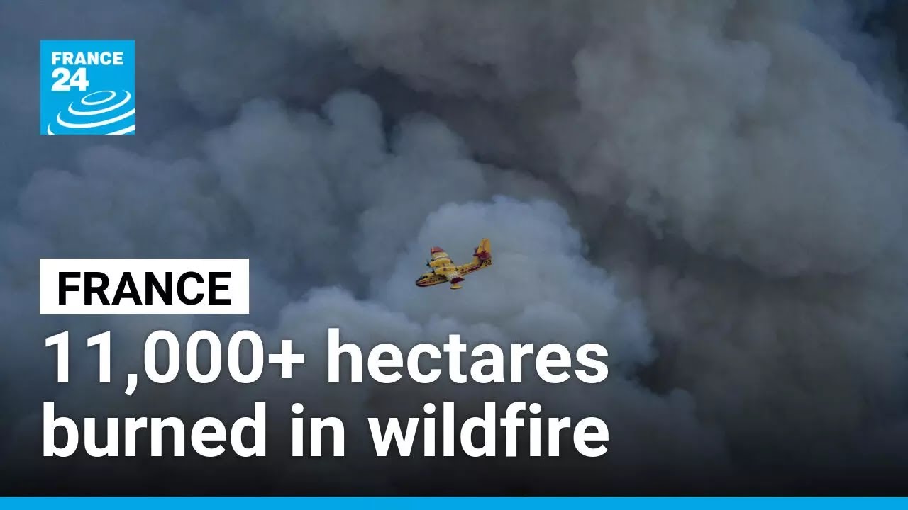 Over 11,000 hectares engulfed in southern France wildfire • FRANCE 24 English