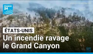 Un incendie ravage depuis un mois une partie du Grand Canyon • FRANCE 24