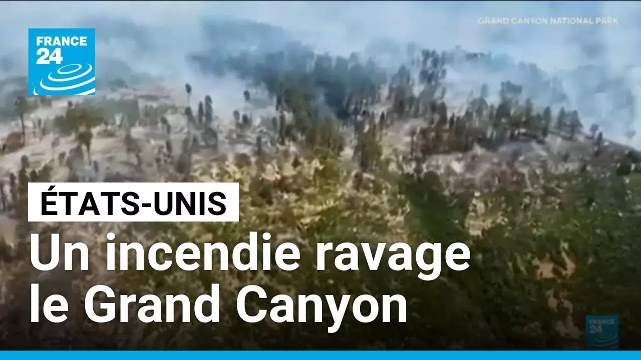 Un incendie ravage depuis un mois une partie du Grand Canyon • FRANCE 24