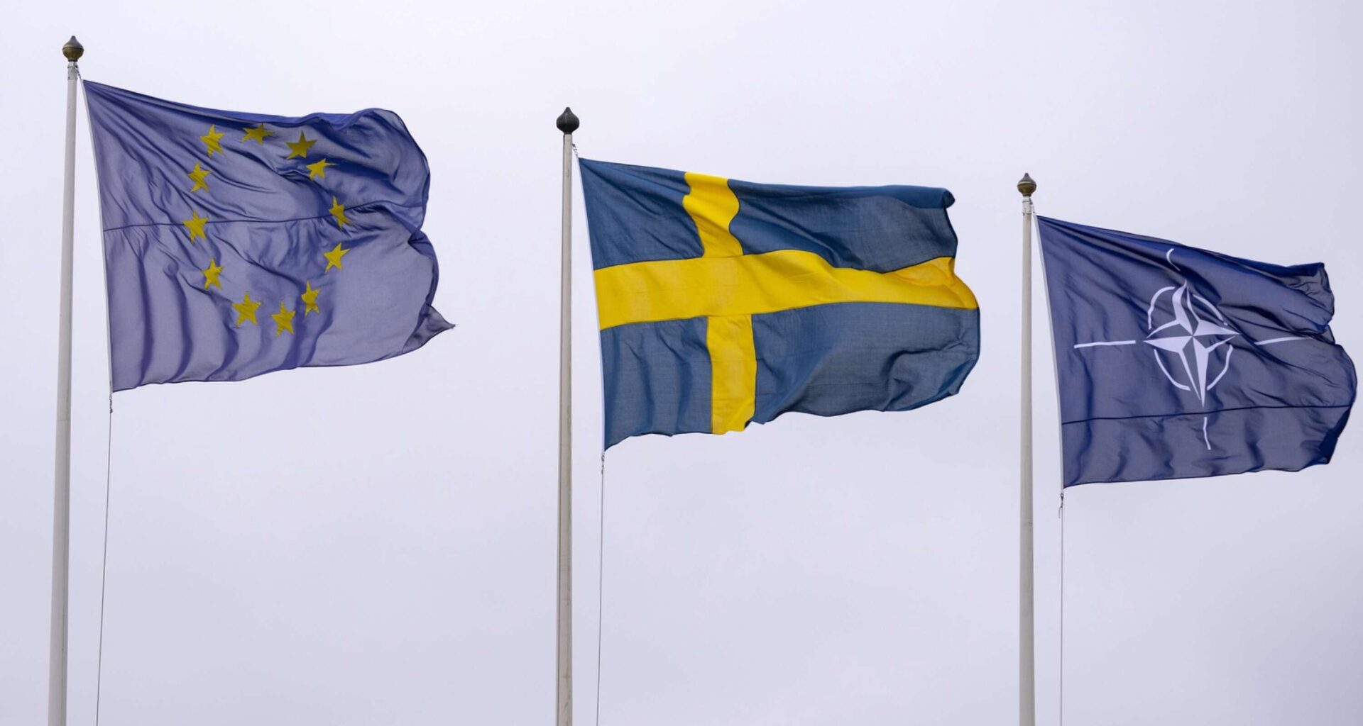 Insändare: ”Alliansen konungariket Sverige har valt att gå med i”
