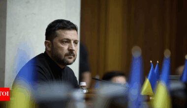 'Ukrainians will not give their land': No 'swapping' of territories? Zelenskyy vows to block 'second partition attempt'