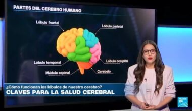 ¿Cómo cuidar la salud del órgano más importante del cuerpo humano? • FRANCE 24 Español