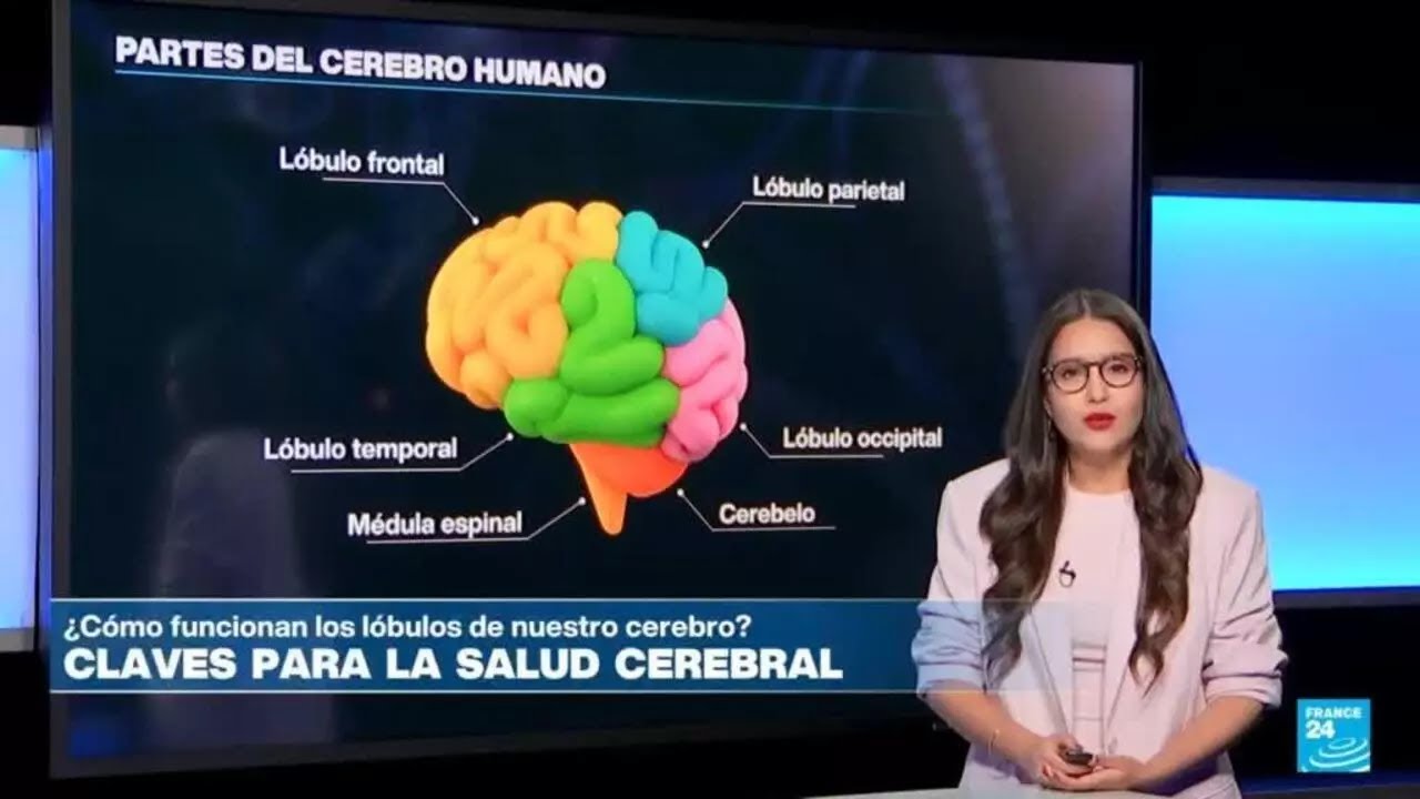 ¿Cómo cuidar la salud del órgano más importante del cuerpo humano? • FRANCE 24 Español