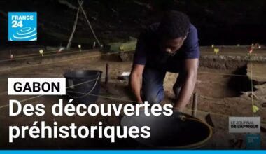 Gabon : des fouilles archéologiques exhument la préhistoire de l'Afrique centrale • FRANCE 24