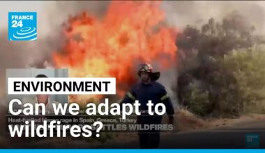 How can we adapt to the growing risk of wildfires? • FRANCE 24 English