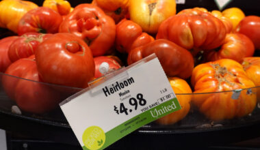 mexico tomatoes