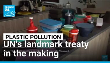 Fighting plastic pollution: UN's landmark treaty in the making • FRANCE 24 English