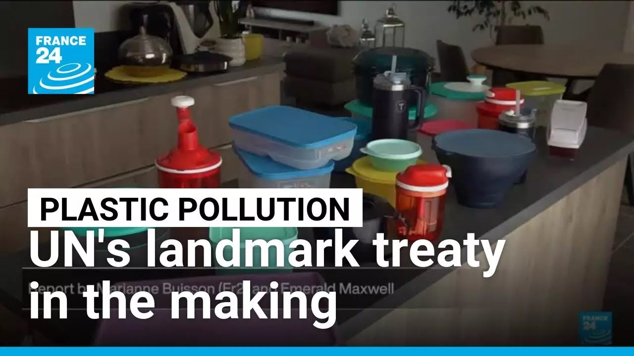 Fighting plastic pollution: UN's landmark treaty in the making • FRANCE 24 English