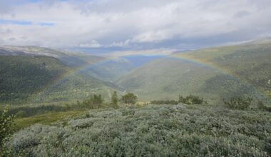 Caught a picture of a brief rainbow today!