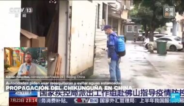 Informe desde Beijing: alerta por propagación de chikunguña en China