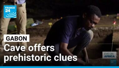 Gabon forest cave reveals clues about prehistoric central Africa • FRANCE 24 English