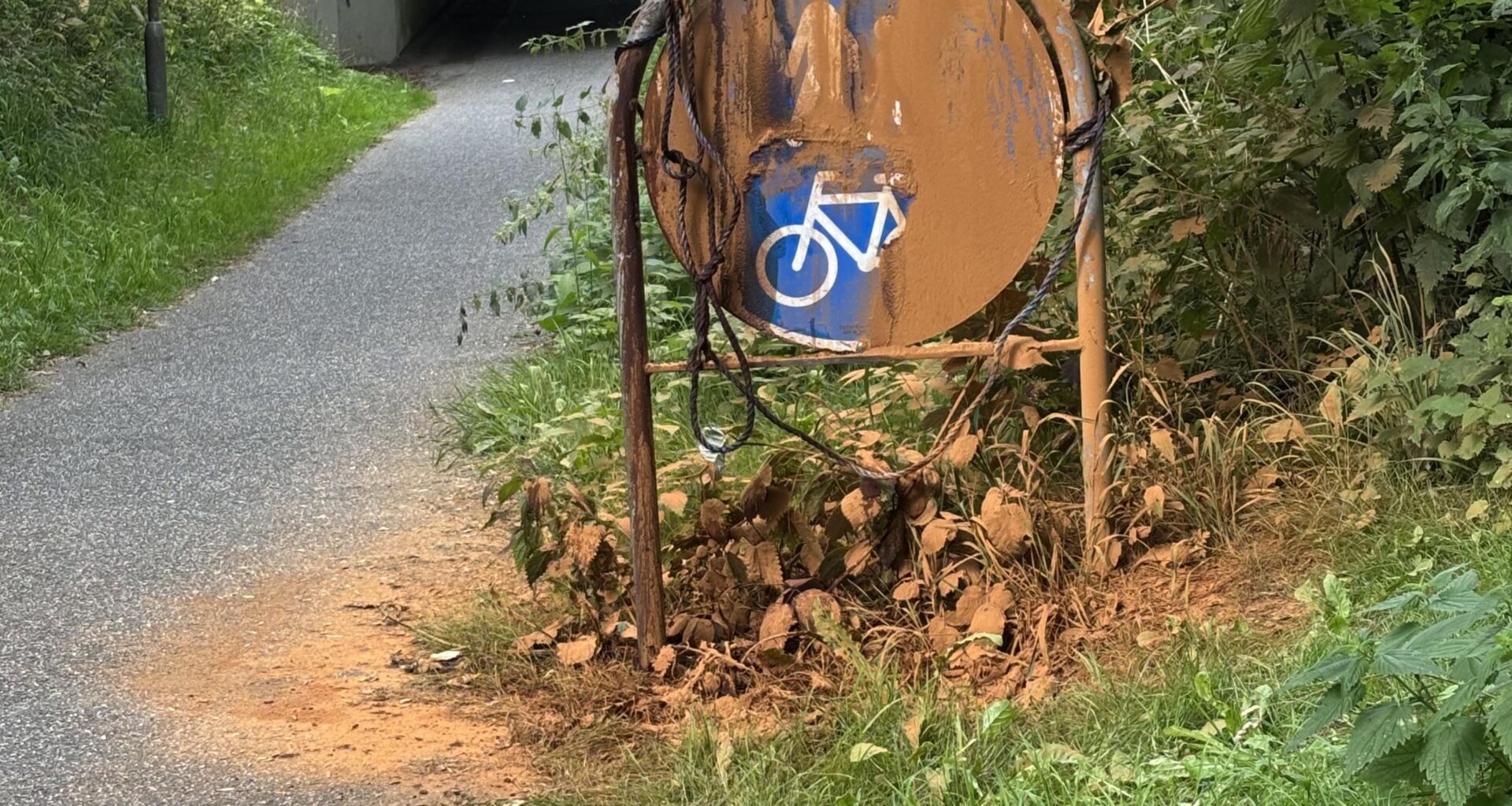 Someone got obliterated here 😭