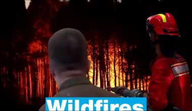 Heatwaves and wildfires: Europe battered by the consequences of global warming • FRANCE 24 English