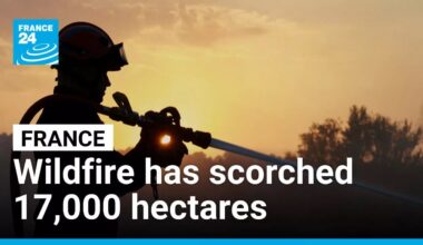 France's largest blaze in decades has scorched 17,000 hectares • FRANCE 24 English