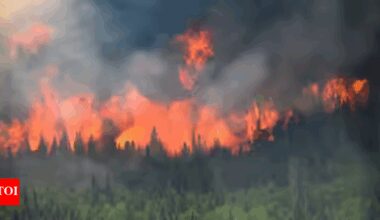 Man killed in Spain wildfire as heat wave rages in Europe