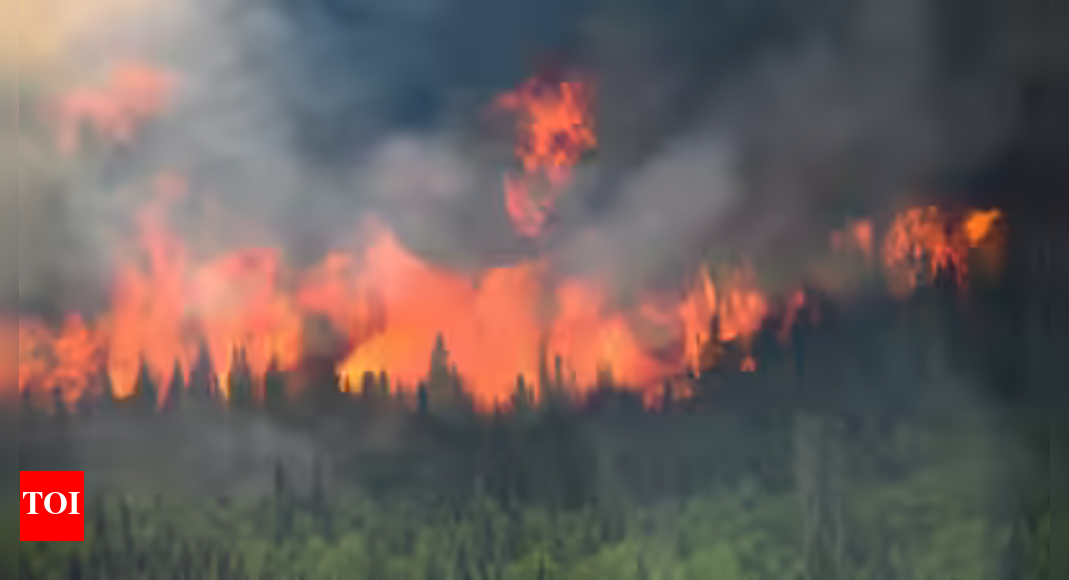 Man killed in Spain wildfire as heat wave rages in Europe