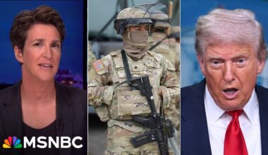 'Not about crime': Maddow CRACKS OPEN Trump's real motives in deploying the National Guard to D.C.