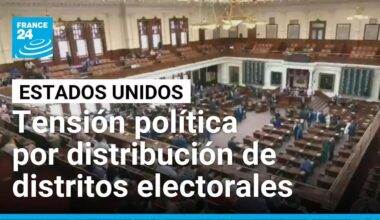 Votación de distribución de distritos electorales en Texas fracasa por tercera vez • FRANCE 24
