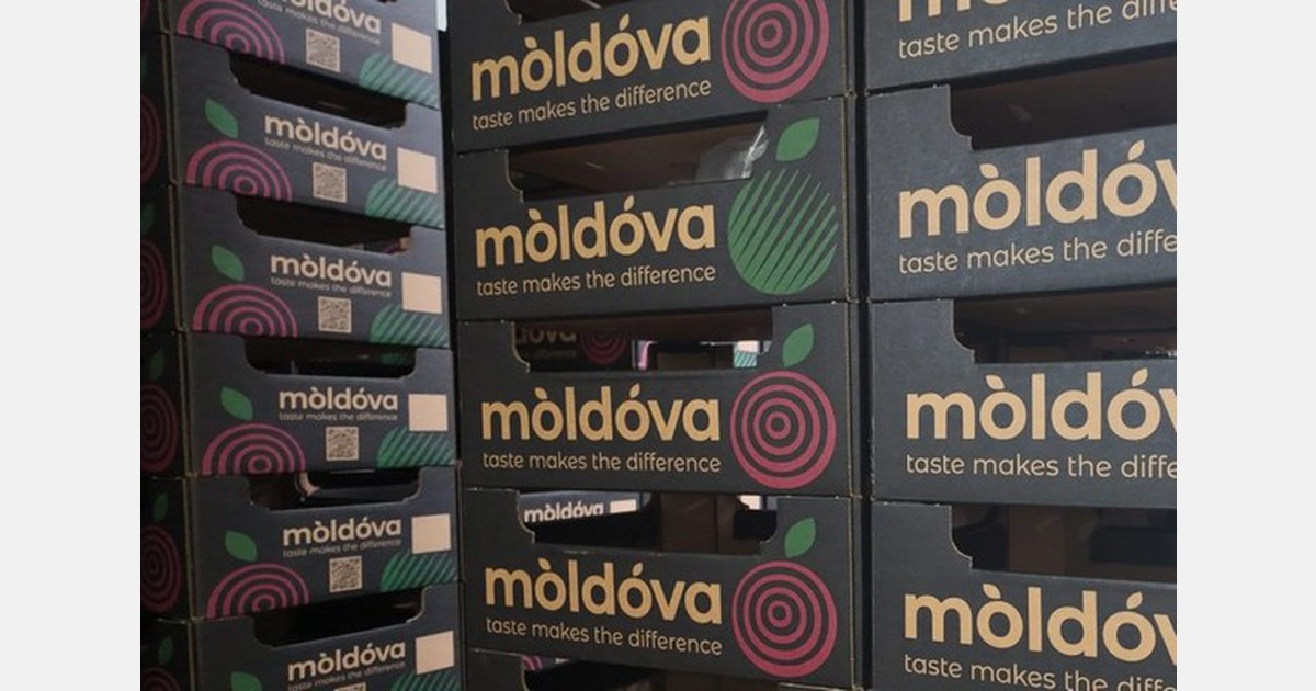 Moldova’s fruit sector blossoms in EU markets, backed by government support