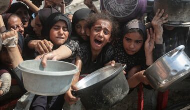 Why Arab rulers aren't more vocal about Gaza as global outcry grows