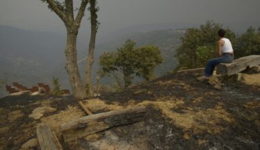 Última hora sobre los incendios forestales en España, en directo