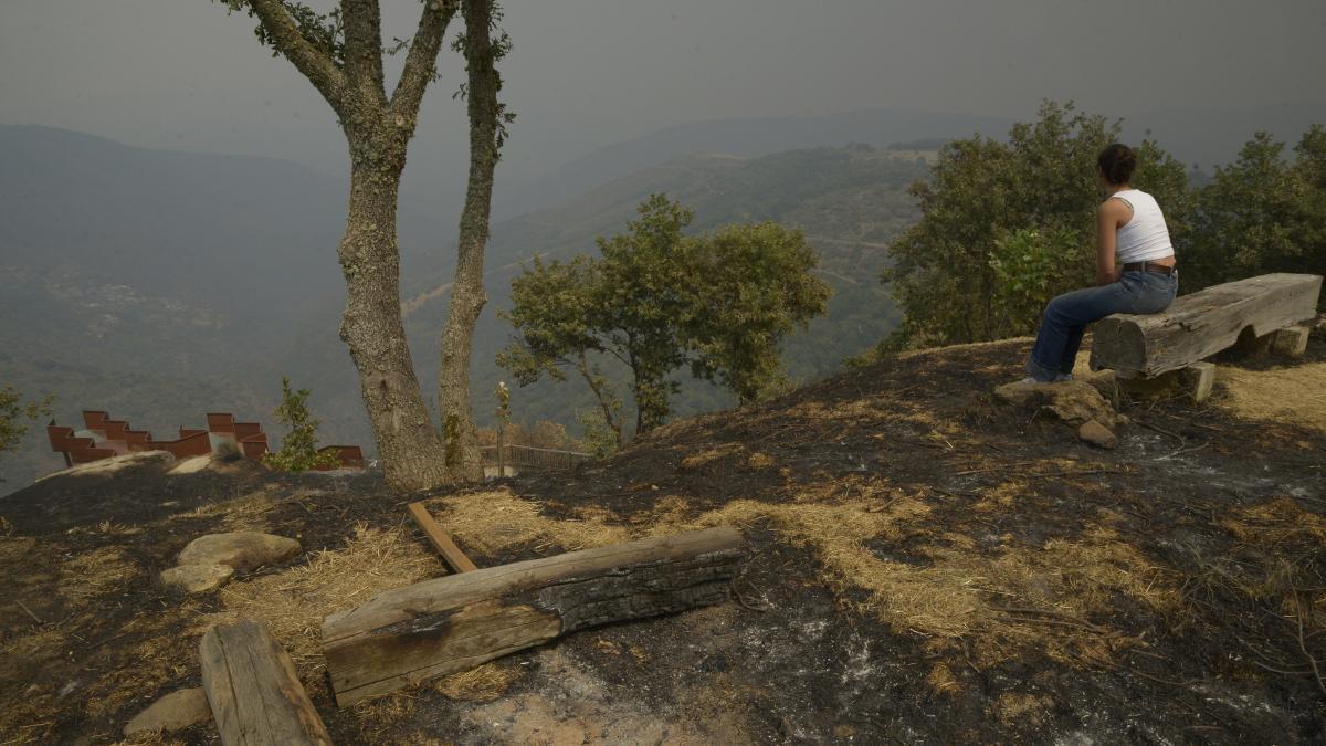 Última hora sobre los incendios forestales en España, en directo