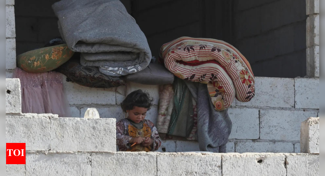 Germany: 1,300 Syrians return home since fall of Assad
