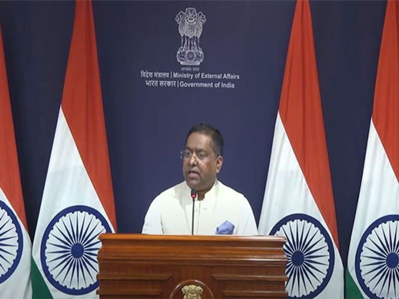 "Have strongly taken up this matter with Irish authorities in Dublin": MEA on cases of violence against Indians in Ireland