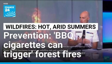 'Wildfires in south of France becoming more widespread, challenging to manage over past 10-15 years'