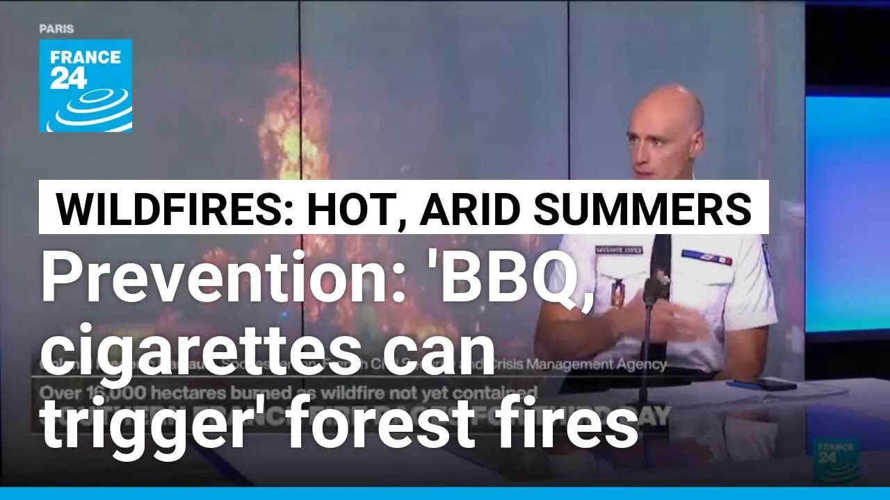 'Wildfires in south of France becoming more widespread, challenging to manage over past 10-15 years'