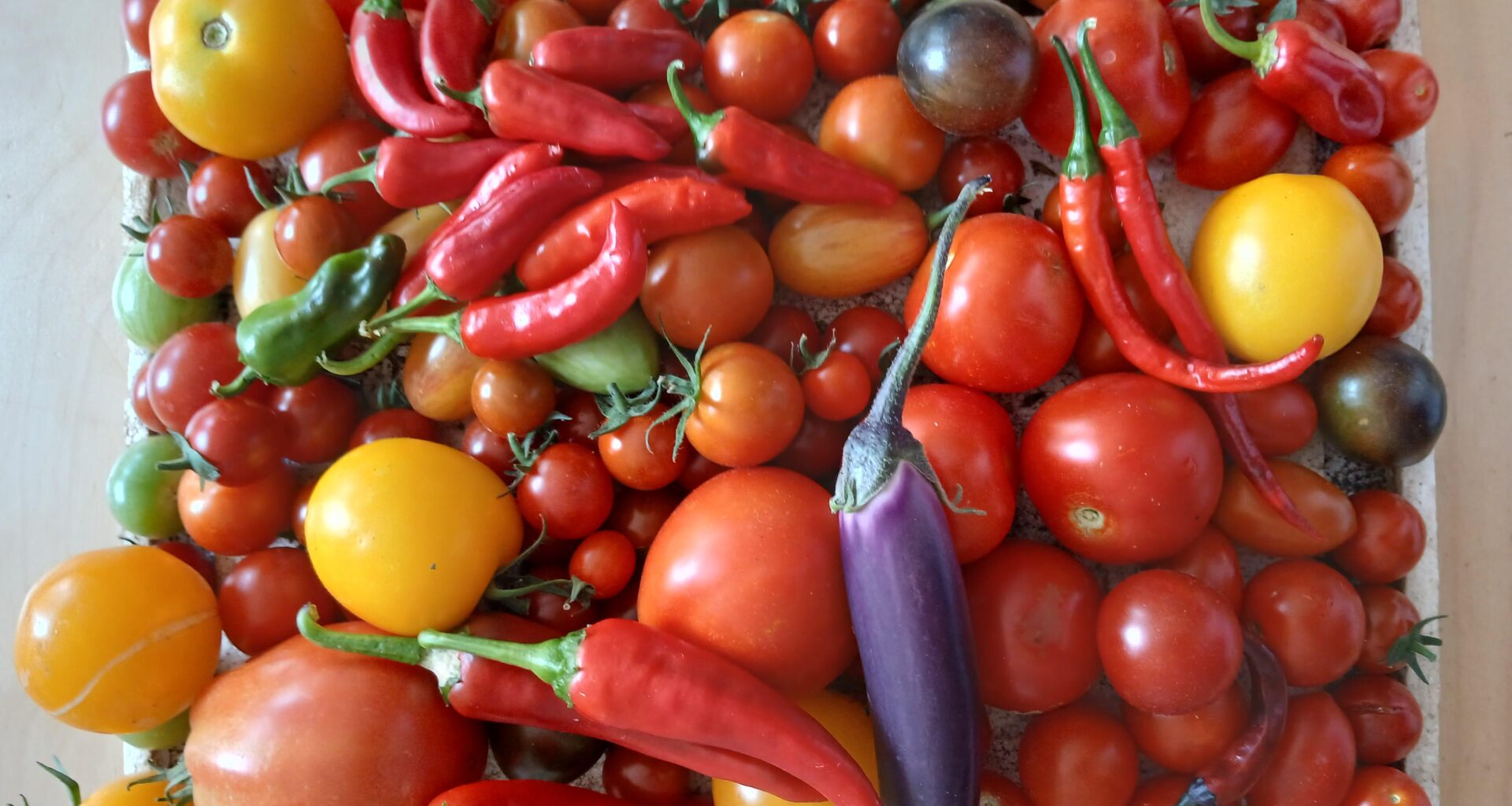 Was ist euer Lieblingsrezept aus den überfälligen Tomaten?