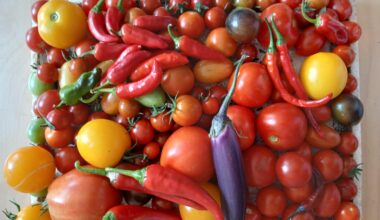 Was ist euer Lieblingsrezept aus den überfälligen Tomaten?