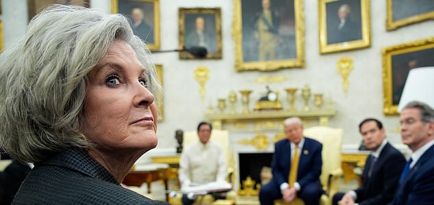 epa12253688 White House Chief of Staff Susie Wiles (L) looks on during a meeting between US President Donald Trump (2-L, background) and Philippine President Ferdinand Marcos Jr. (L, background) in the Oval Office at the White House in Washington, DC., USA, 22 July 2025.  EPA/YURI GRIPAS / POOL