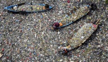 Experts grapple with scale of plastic pollution in oceans • FRANCE 24 English