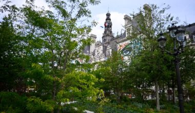 Urban forests spread their cover in a time of climate change